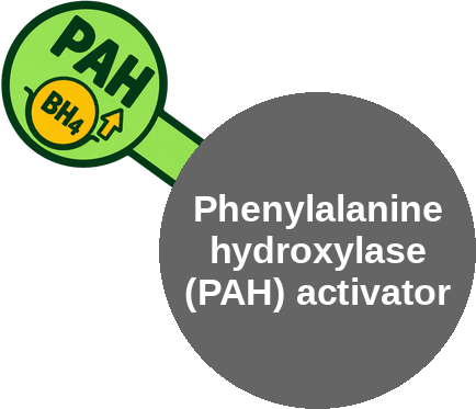 Phenylalanine hydroxylase (PAH) activator — mechanism peg (Ballicules)