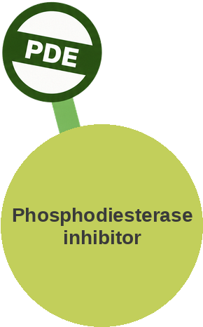 Phosphodiesterase inhibitor — mechanism peg (Ballicules)