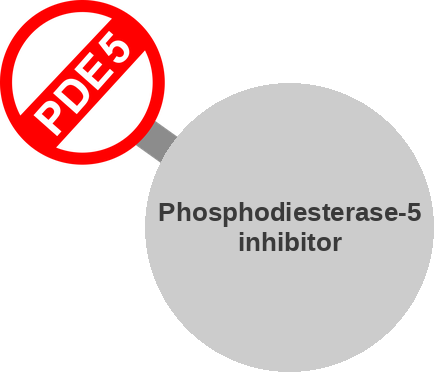 Phosphodiesterase-5 inhibitor — mechanism peg (Ballicules)