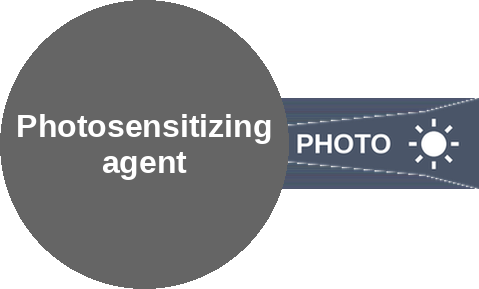 Photosensitizing agent — mechanism peg (Ballicules)