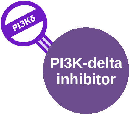 PI3K-delta inhibitor — mechanism peg (Ballicules)