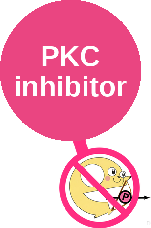 Protein kinase C (PKC) inhibitor — mechanism peg (Ballicules)