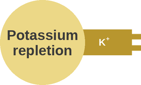 Potassium repletion — mechanism peg (Ballicules)