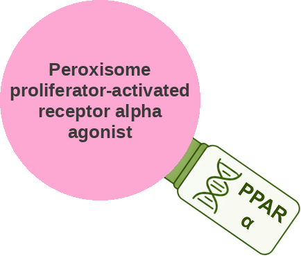 Peroxisome proliferator-activated receptor alpha agonist — mechanism peg (Ballicules)