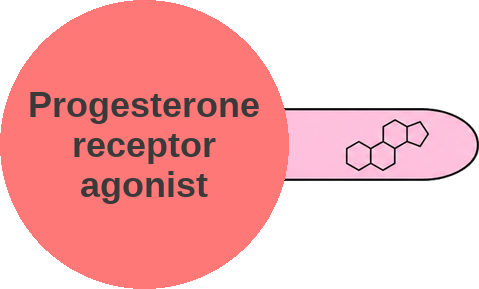 Progesterone receptor agonist — mechanism peg (Ballicules)
