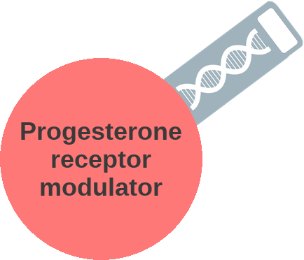 Partial agonist–antagonist at the progesterone receptor, tissue by tissue — mechanism peg (Ballicules)
