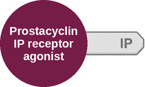 Prostacyclin IP receptor agonist — mechanism peg (Ballicules)