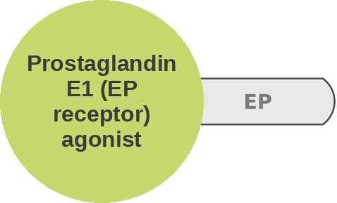 Prostaglandin E1 (EP receptor) agonist — mechanism peg (Ballicules)