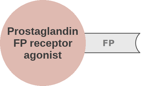 Prostaglandin FP receptor agonist — mechanism peg (Ballicules)