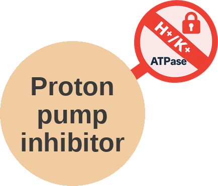 Proton pump inhibitor — mechanism peg (Ballicules)