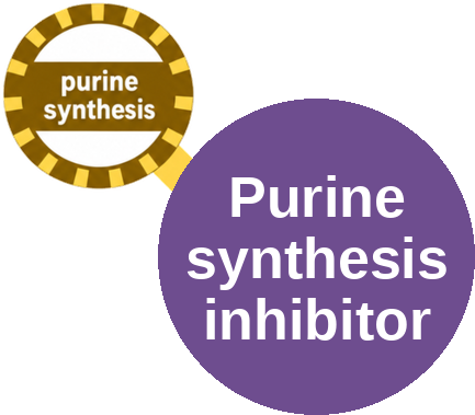 Purine synthesis inhibitor — mechanism peg (Ballicules)