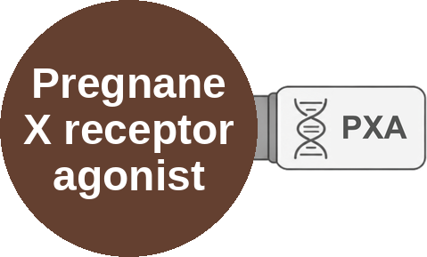 Pregnane X receptor agonist — mechanism peg (Ballicules)