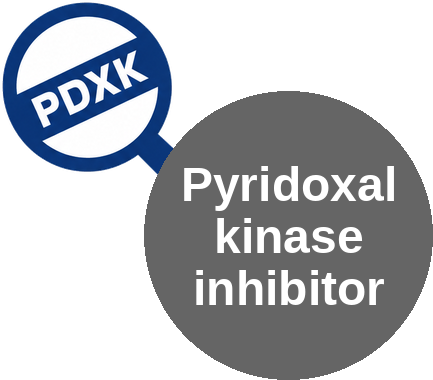 Pyridoxal kinase inhibitor — mechanism peg (Ballicules)