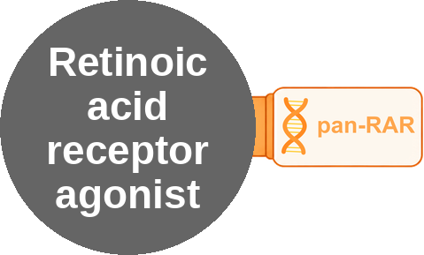Retinoic acid receptor agonist — mechanism peg (Ballicules)