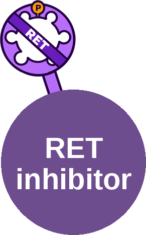 RET kinase inhibitor (selective) — mechanism peg (Ballicules)