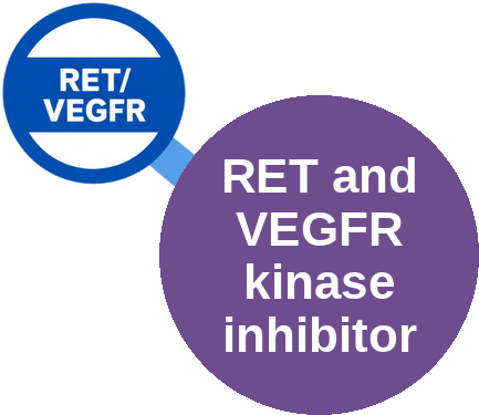 RET and VEGFR kinase inhibitor — mechanism peg (Ballicules)