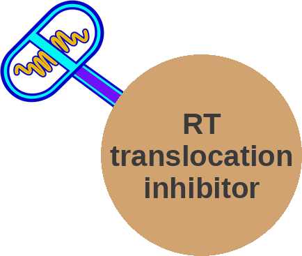 Reverse transcriptase inhibitor — mechanism peg (Ballicules)