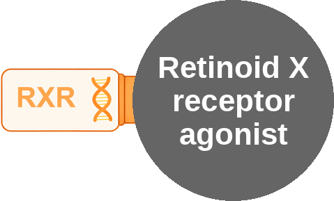 Retinoid X receptor agonist — mechanism peg (Ballicules)