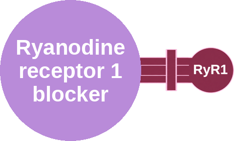 Ryanodine receptor 1 blocker — mechanism peg (Ballicules)