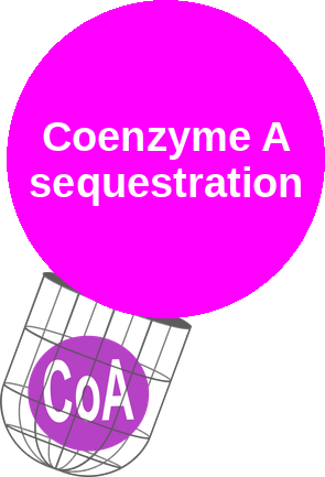 Coenzyme A sequestration — mechanism peg (Ballicules)