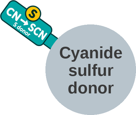 Cyanide sulfur donor — mechanism peg (Ballicules)