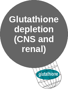 Glutathione depletion (CNS and renal) — mechanism peg (Ballicules)