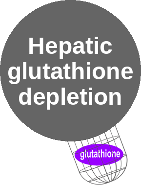 Hepatic glutathione depletion — mechanism peg (Ballicules)