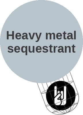 Heavy metal sequestrant — mechanism peg (Ballicules)