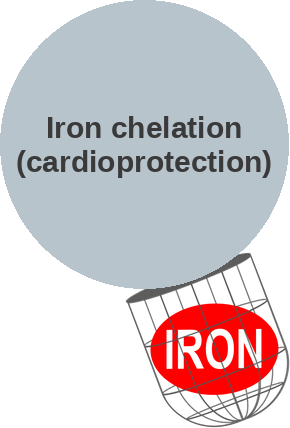 Iron chelation — anthracycline cardioprotection — mechanism peg (Ballicules)