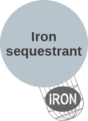 Iron sequestrant — mechanism peg (Ballicules)