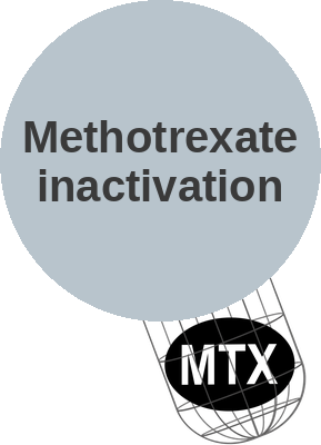 Methotrexate inactivation (glucarpidase) — mechanism peg (Ballicules)