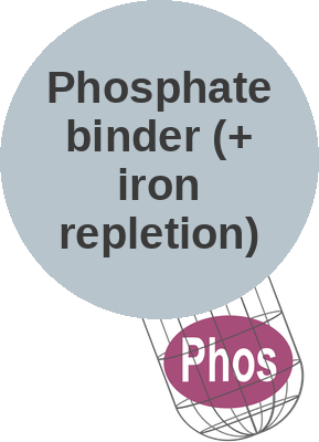Phosphate binder (+ iron repletion) — mechanism peg (Ballicules)
