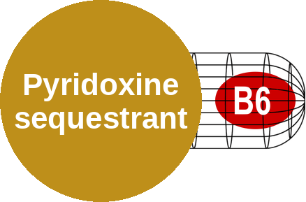 Pyridoxine sequestrant — mechanism peg (Ballicules)