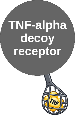 TNF-alpha decoy receptor — mechanism peg (Ballicules)