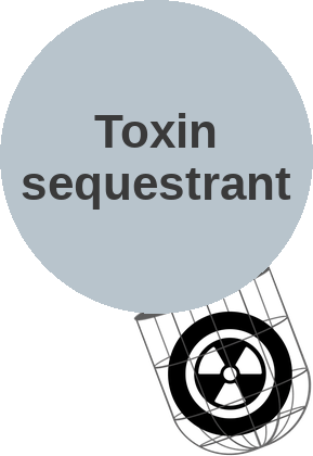 Toxin sequestrant — mechanism peg (Ballicules)