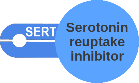 Serotonin reuptake inhibitor — mechanism peg (Ballicules)