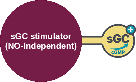 Soluble guanylate cyclase stimulator — mechanism peg (Ballicules)