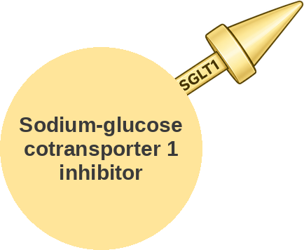 Sodium-glucose cotransporter 1 inhibitor — mechanism peg (Ballicules)