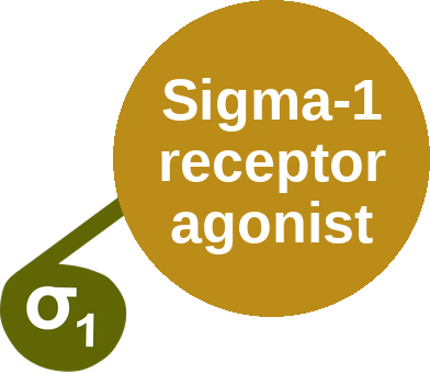 Sigma-1 receptor agonist — mechanism peg (Ballicules)