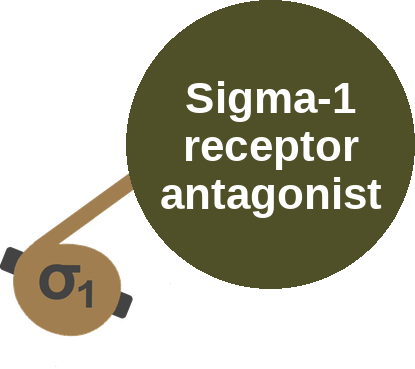 Sigma-1 receptor antagonist — mechanism peg (Ballicules)