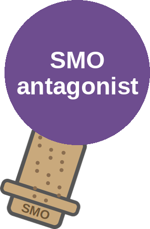 Smoothened (SMO) antagonist — hedgehog pathway — mechanism peg (Ballicules)