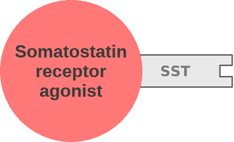 Somatostatin receptor agonist — mechanism peg (Ballicules)