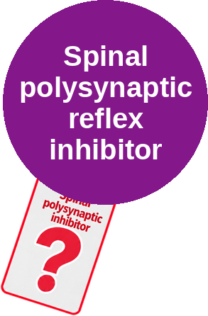 Spinal polysynaptic reflex inhibitor — mechanism peg (Ballicules)