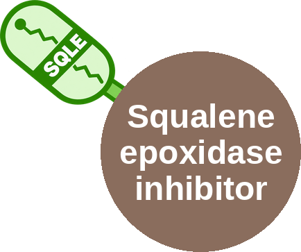 Squalene epoxidase inhibitor — mechanism peg (Ballicules)