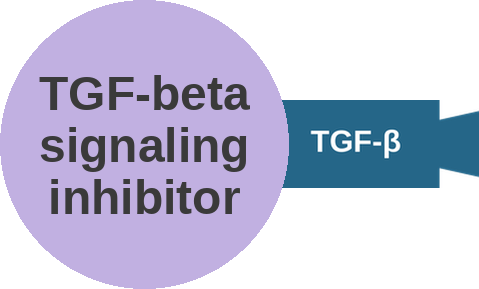 TGF-beta signaling inhibitor — mechanism peg (Ballicules)