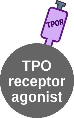 Thrombopoietin (TPO / MPL) receptor agonist — mechanism peg (Ballicules)