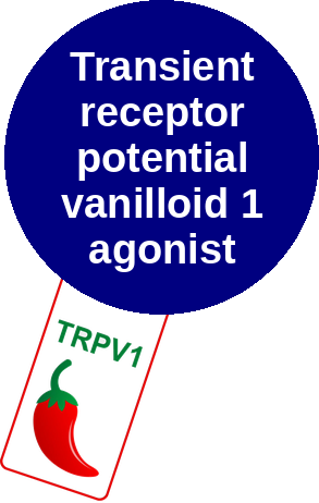 Transient receptor potential vanilloid 1 agonist — mechanism peg (Ballicules)