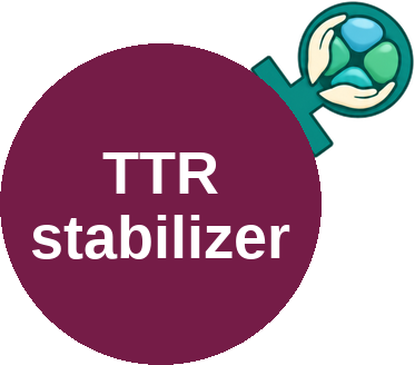 Transthyretin (TTR) tetramer stabilizer — mechanism peg (Ballicules)