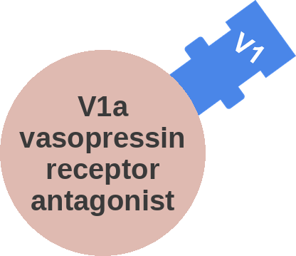 V1a vasopressin receptor antagonist — mechanism peg (Ballicules)