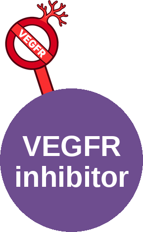 VEGFR kinase inhibitor — mechanism peg (Ballicules)